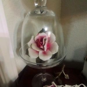 Compidieont porcelain roses